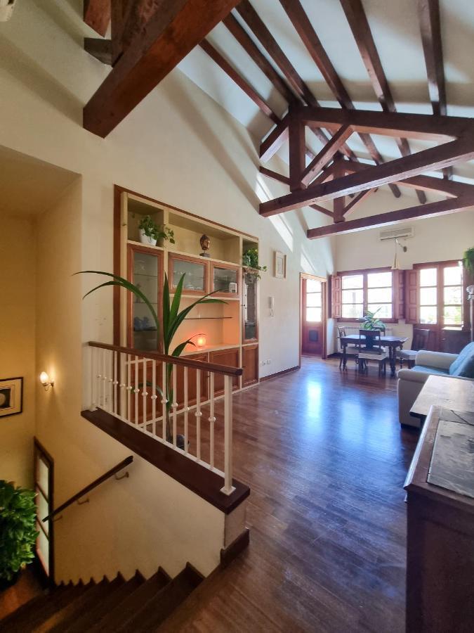 Botanic Home 卡利亚里 外观 照片